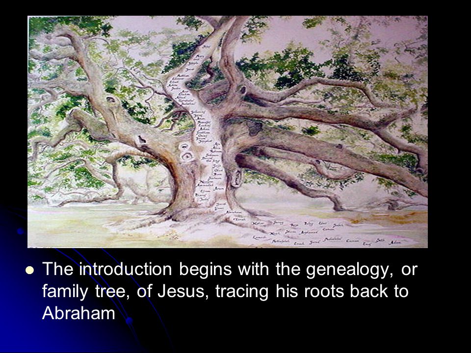The introduction begins with the genealogy, or family tree, of Jesus, tracing his roots back to Abraham