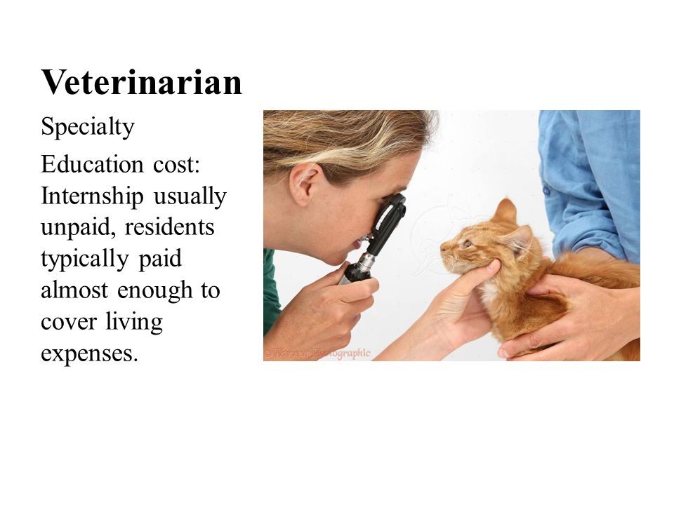 Veterinarian Specialty Education cost: Internship usually unpaid, residents typically paid almost enough to cover living expenses.