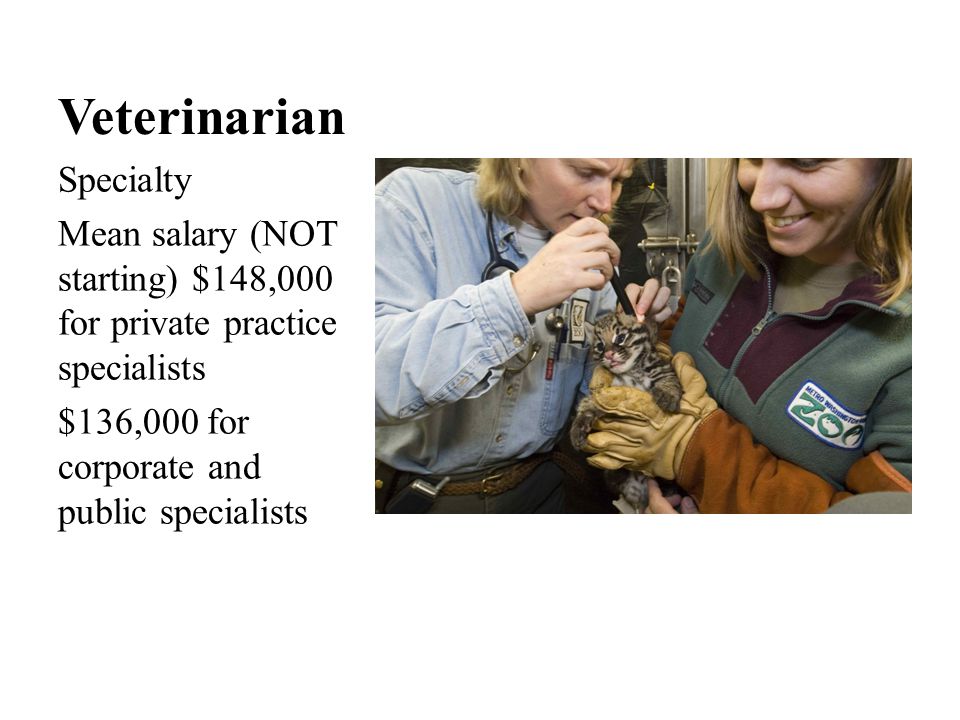 Veterinarian Specialty Mean salary (NOT starting) $148,000 for private practice specialists $136,000 for corporate and public specialists