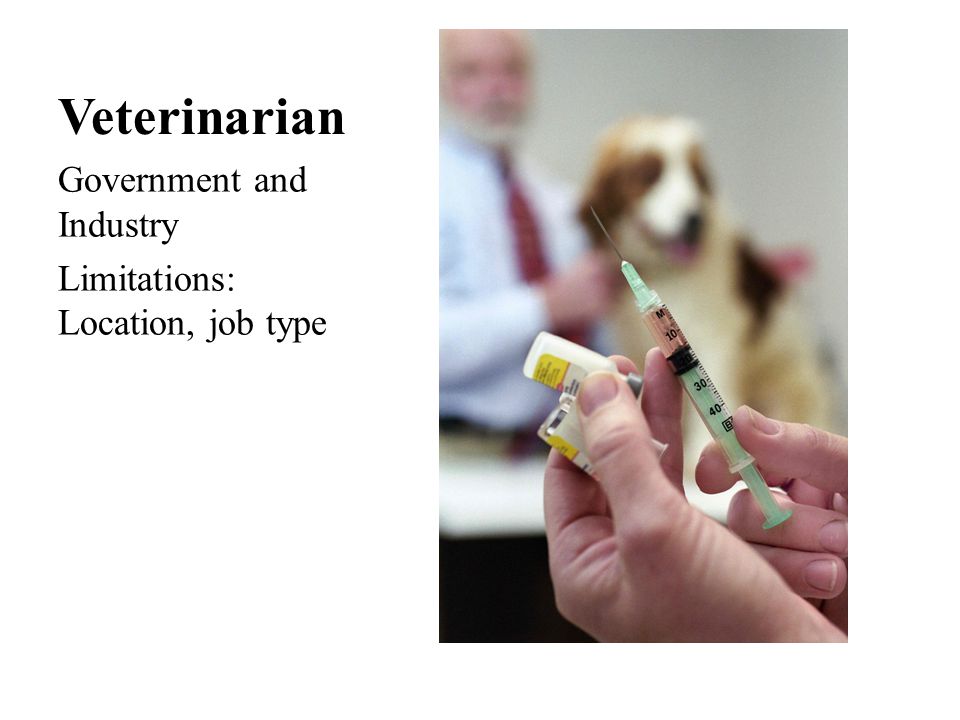 Veterinarian Government and Industry Limitations: Location, job type