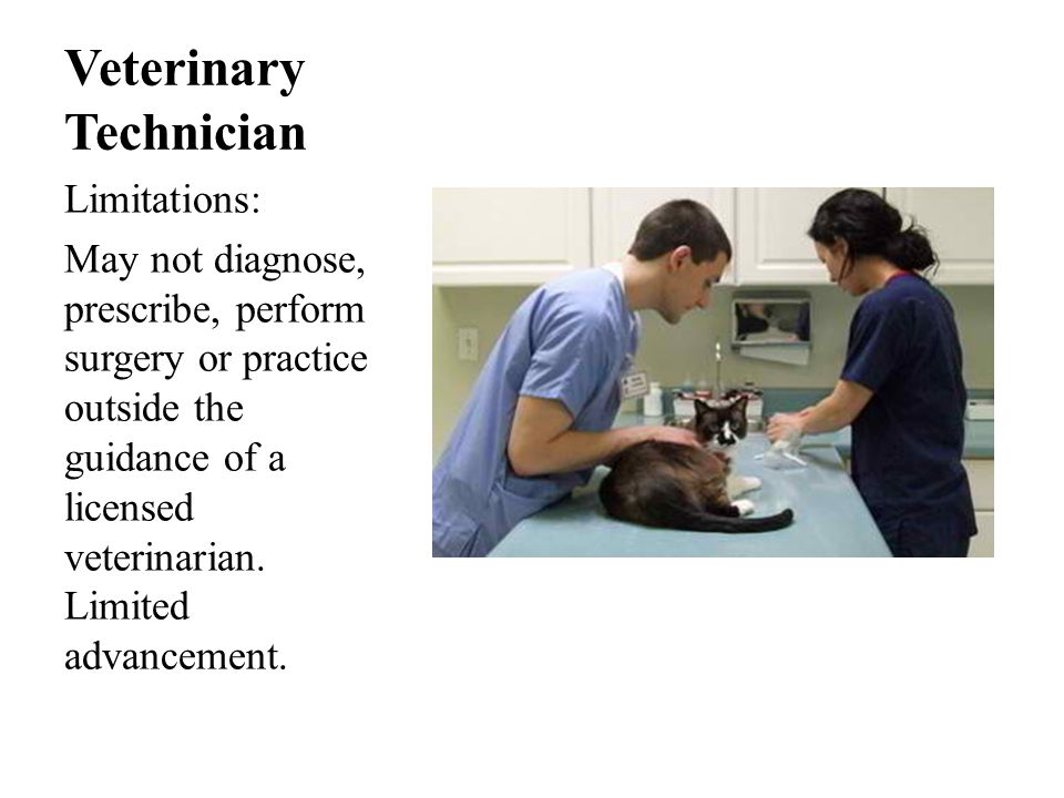 Veterinary Technician Limitations: May not diagnose, prescribe, perform surgery or practice outside the guidance of a licensed veterinarian.