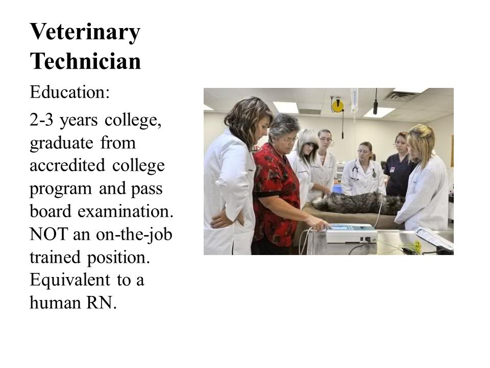 Veterinary Technician Education: 2-3 years college, graduate from accredited college program and pass board examination.