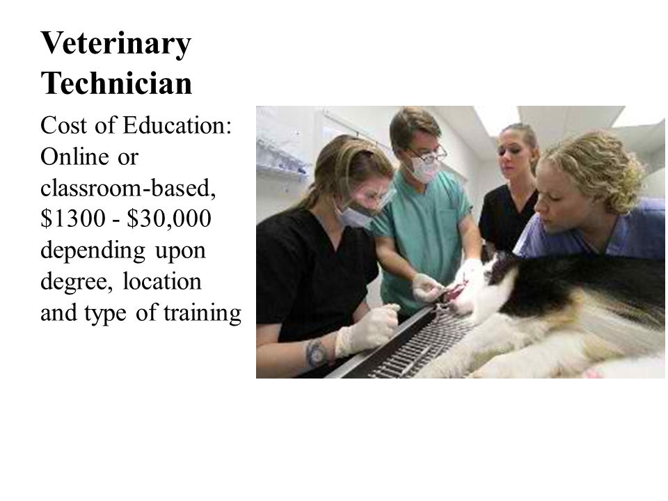 Veterinary Technician Cost of Education: Online or classroom-based, $ $30,000 depending upon degree, location and type of training