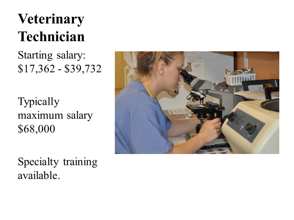 Veterinary Technician Starting salary: $17,362 - $39,732 Typically maximum salary $68,000 Specialty training available.