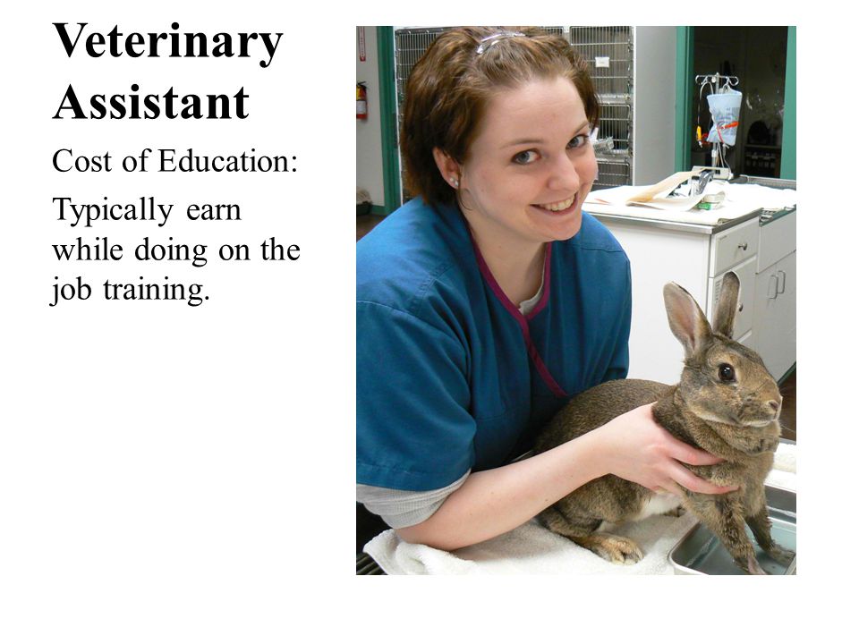 Veterinary Assistant Cost of Education: Typically earn while doing on the job training.