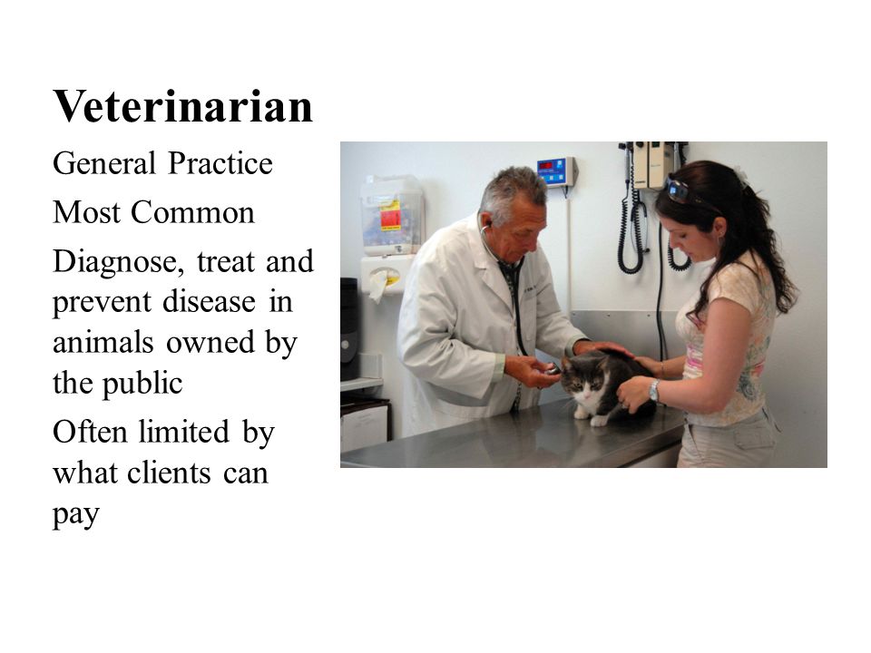 Veterinarian General Practice Most Common Diagnose, treat and prevent disease in animals owned by the public Often limited by what clients can pay