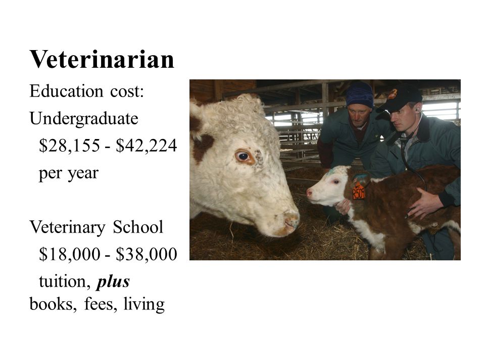 Veterinarian Education cost: Undergraduate $28,155 - $42,224 per year Veterinary School $18,000 - $38,000 tuition, plus books, fees, living