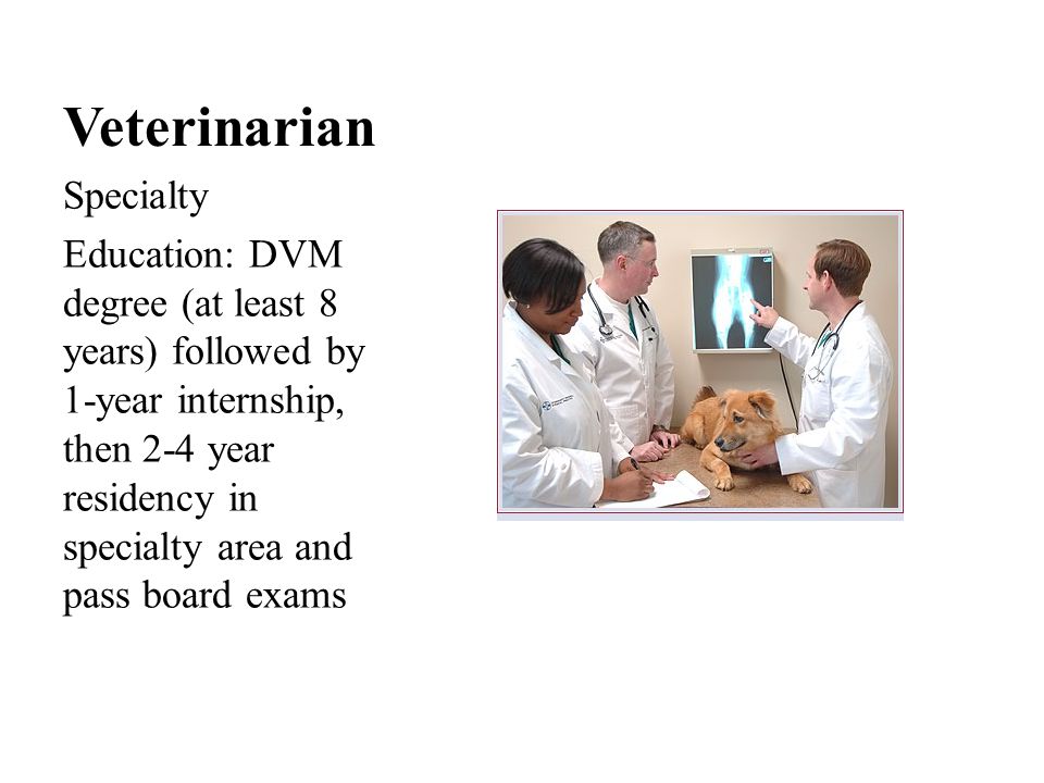 Veterinarian Specialty Education: DVM degree (at least 8 years) followed by 1-year internship, then 2-4 year residency in specialty area and pass board exams
