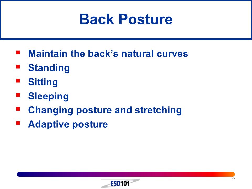9 Back Posture  Maintain the back’s natural curves  Standing  Sitting  Sleeping  Changing posture and stretching  Adaptive posture