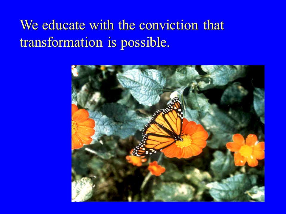 We educate with the conviction that transformation is possible.