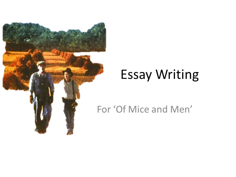 Essay Writing For ‘Of Mice and Men’