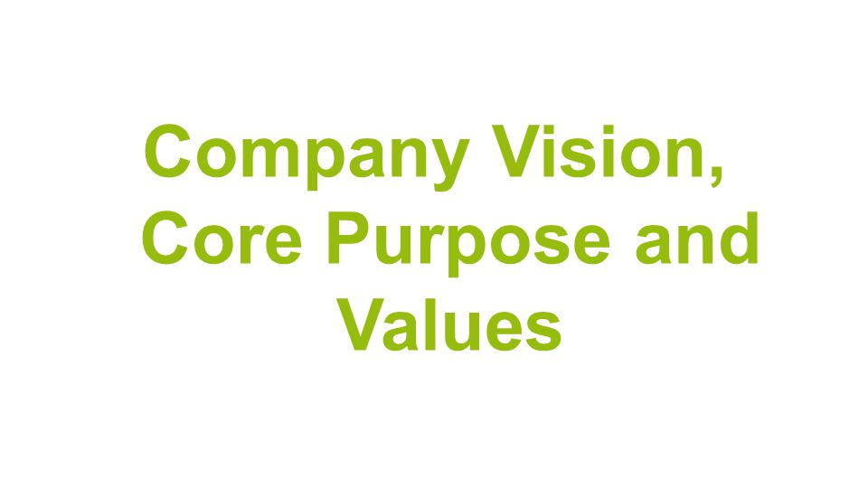 Company Vision, Core Purpose and Values