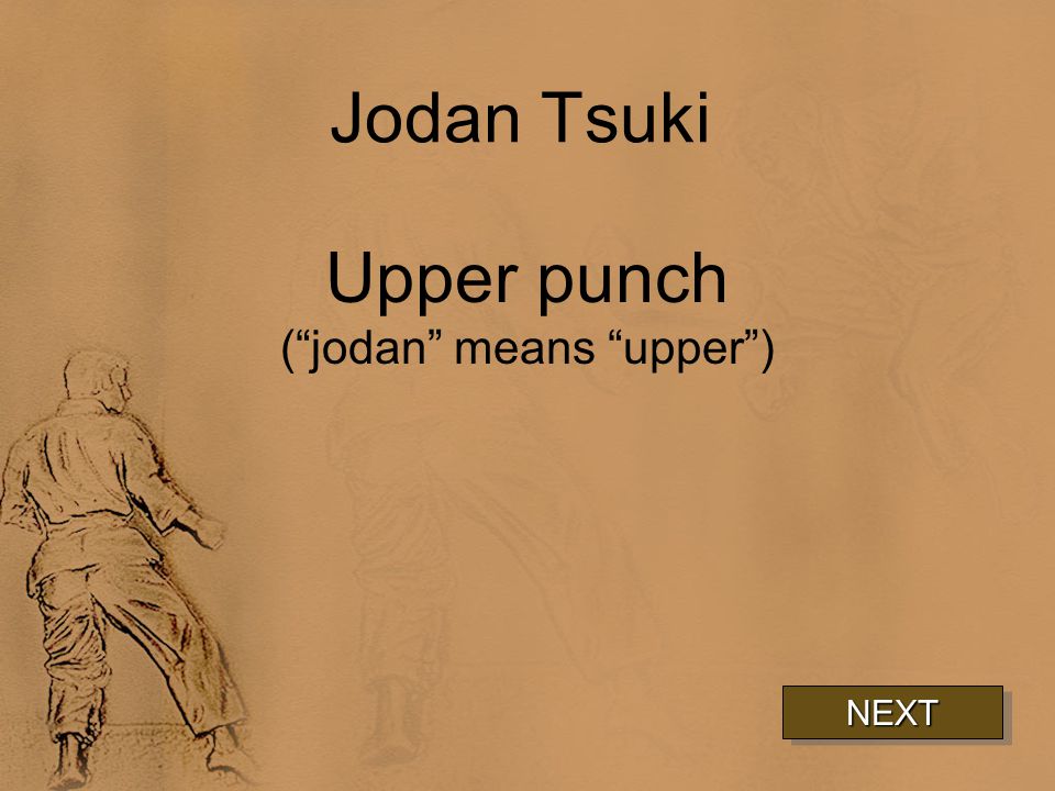 Jodan Tsuki Upper punch ( jodan means upper ) NEXT