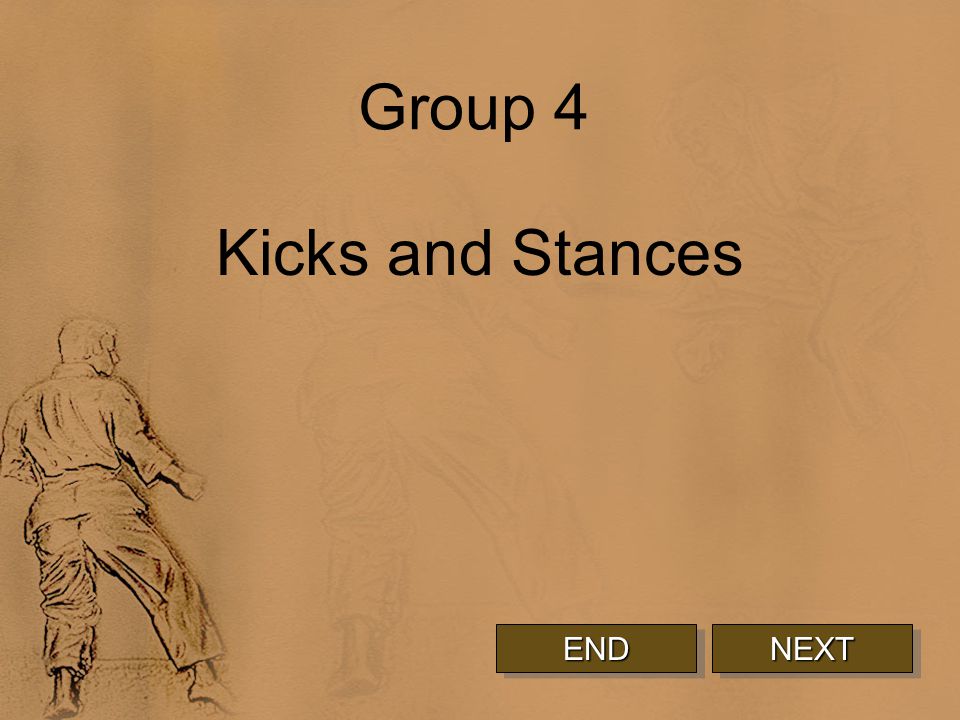 Group 4 Kicks and Stances NEXT END