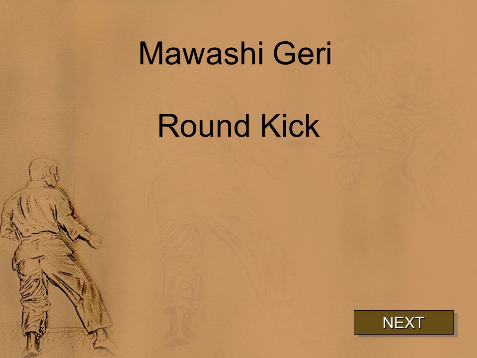 Mawashi Geri Round Kick NEXT