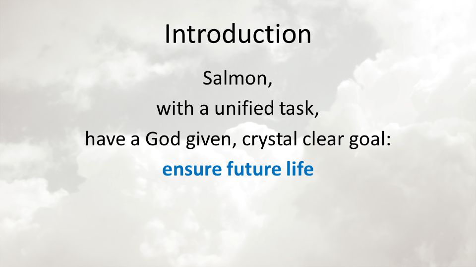 Introduction Salmon, with a unified task, have a God given, crystal clear goal: ensure future life