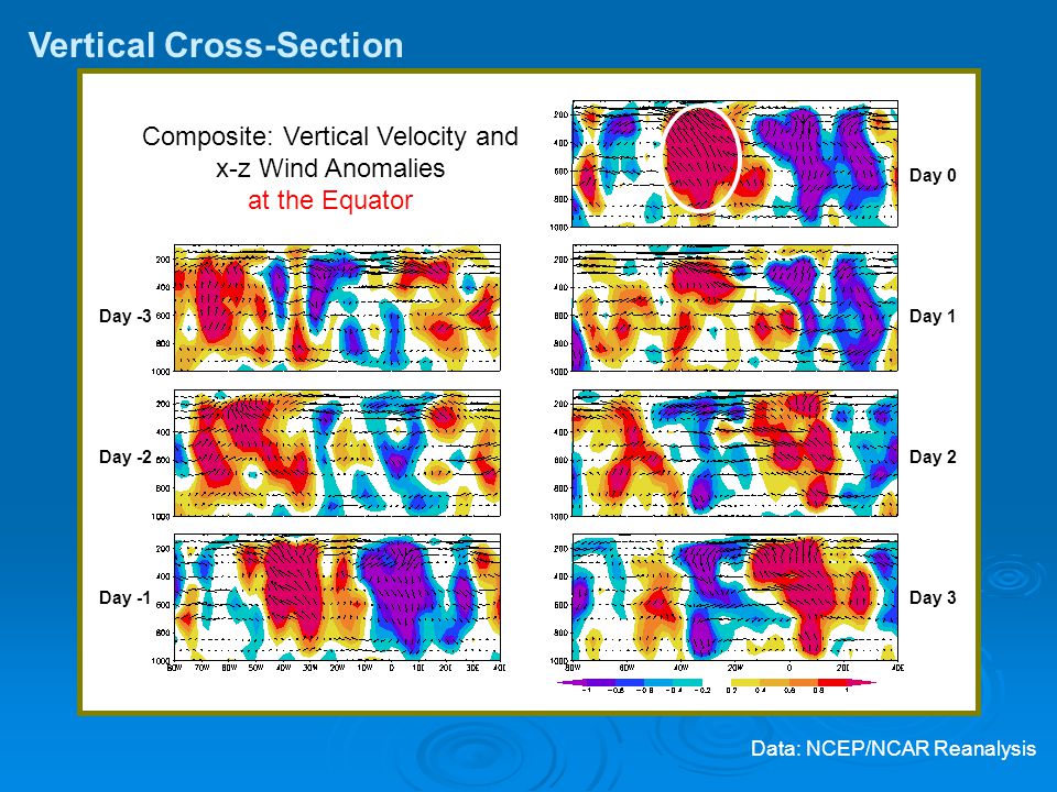 Vertical Cross-Section Composite: Vertical Velocity and x-z Wind Anomalies at the Equator Day -2 Day -3 Day -1 Day 0 Day 1 Day 2 Day 3 Data: NCEP/NCAR Reanalysis