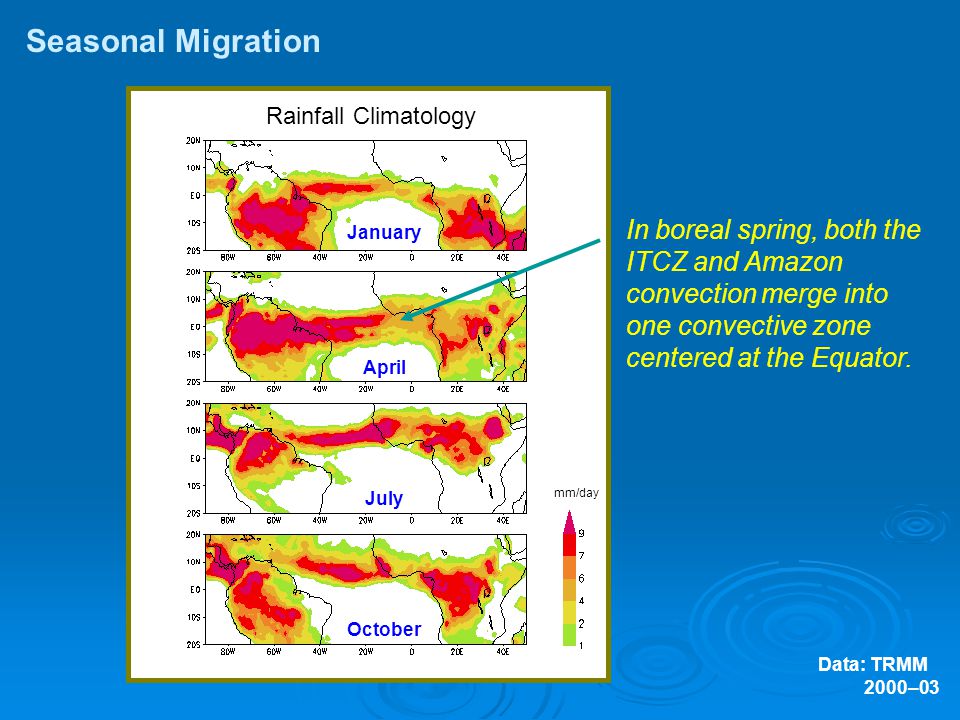 Rainfall Climatology Data: TRMM 2000–03 Seasonal Migration January April July October In boreal spring, both the ITCZ and Amazon convection merge into one convective zone centered at the Equator.