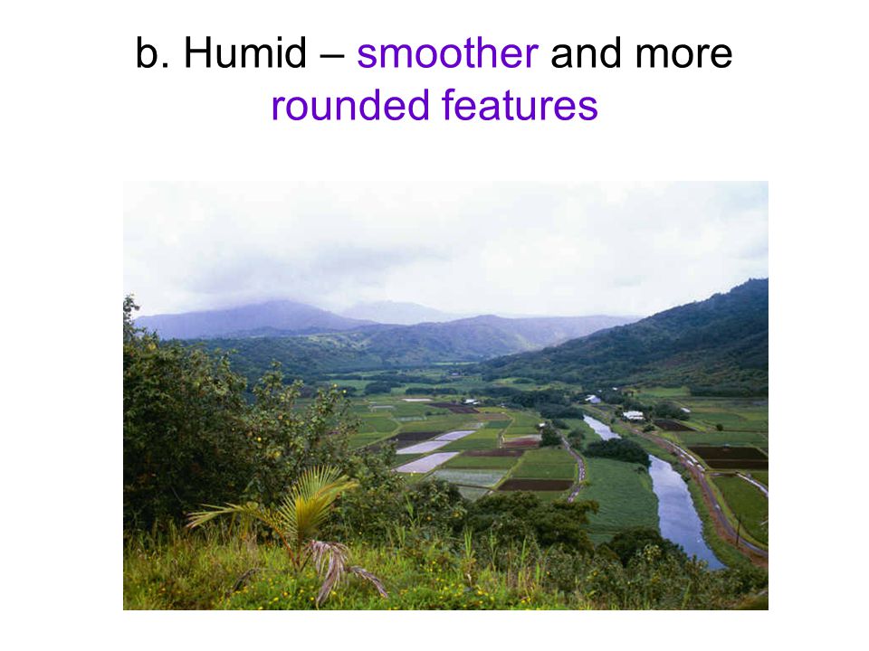 b. Humid – smoother and more rounded features