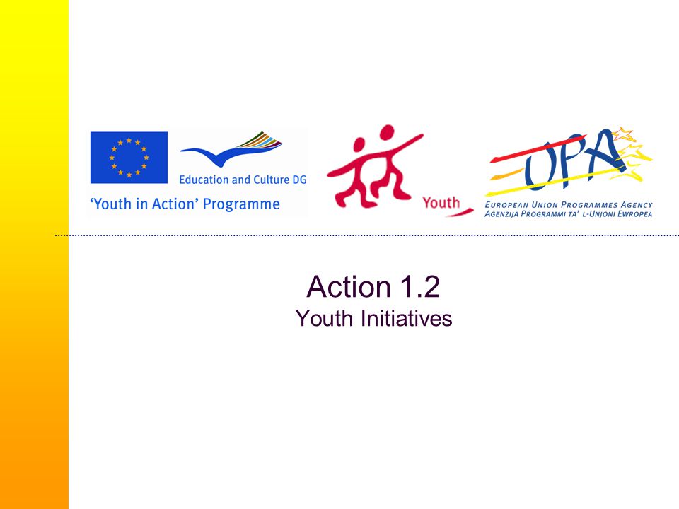 Action 1.2 Youth Initiatives