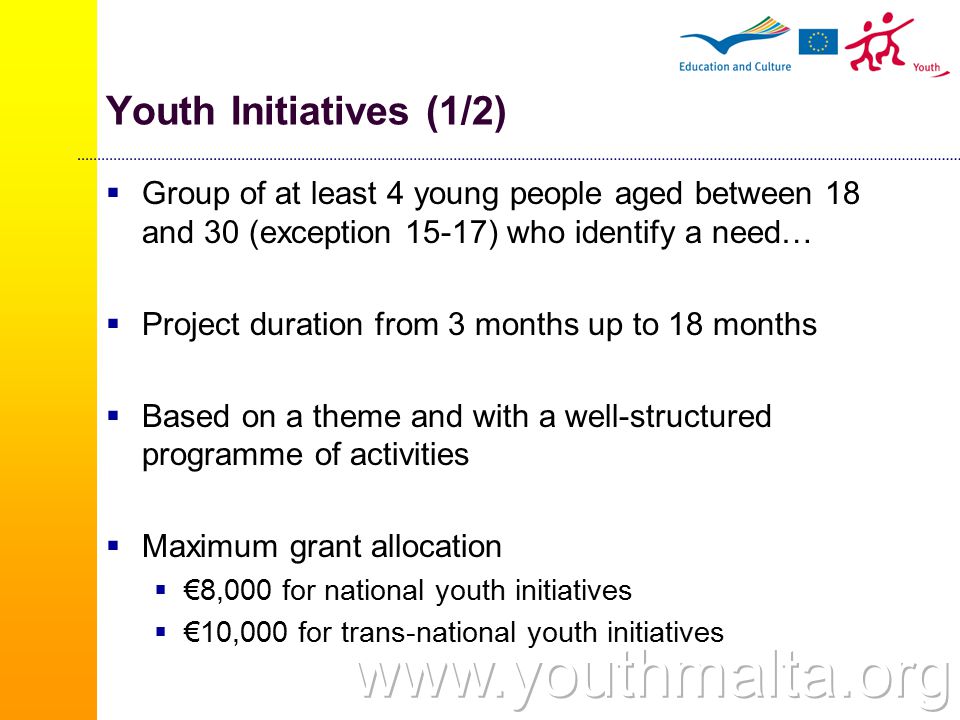 Youth Initiatives (1/2)  Group of at least 4 young people aged between 18 and 30 (exception 15-17) who identify a need…  Project duration from 3 months up to 18 months  Based on a theme and with a well-structured programme of activities  Maximum grant allocation  €8,000 for national youth initiatives  €10,000 for trans-national youth initiatives
