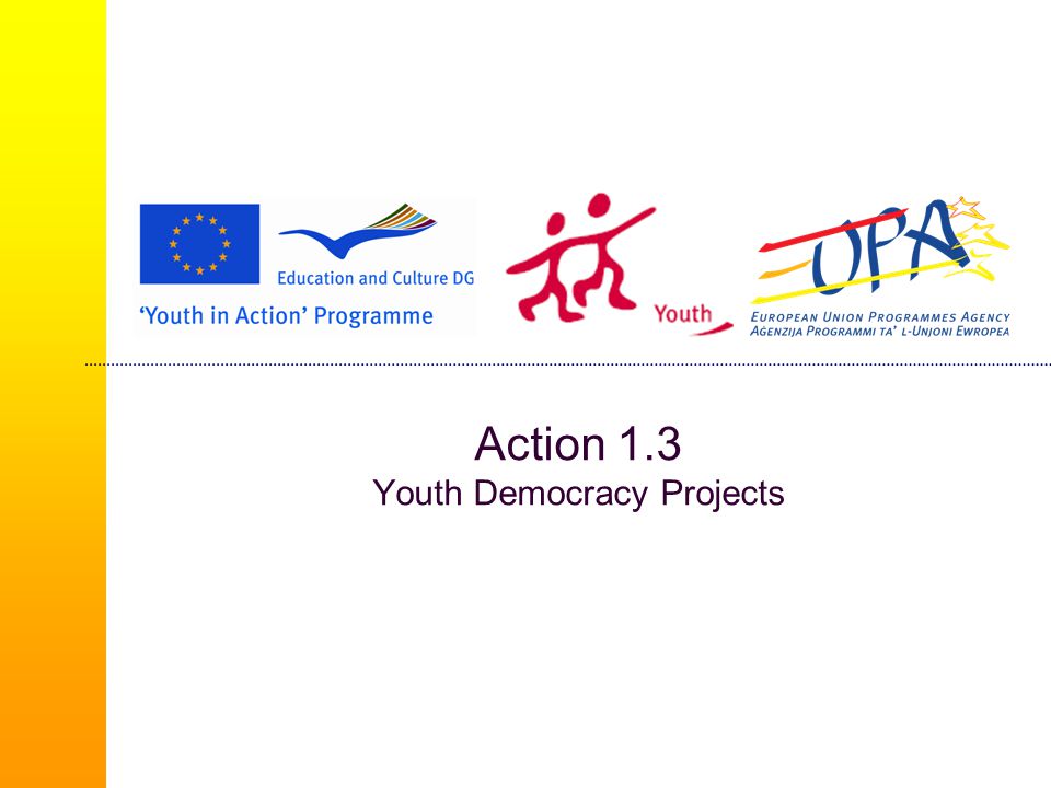 Action 1.3 Youth Democracy Projects