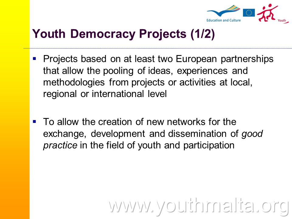 Youth Democracy Projects (1/2)  Projects based on at least two European partnerships that allow the pooling of ideas, experiences and methodologies from projects or activities at local, regional or international level  To allow the creation of new networks for the exchange, development and dissemination of good practice in the field of youth and participation