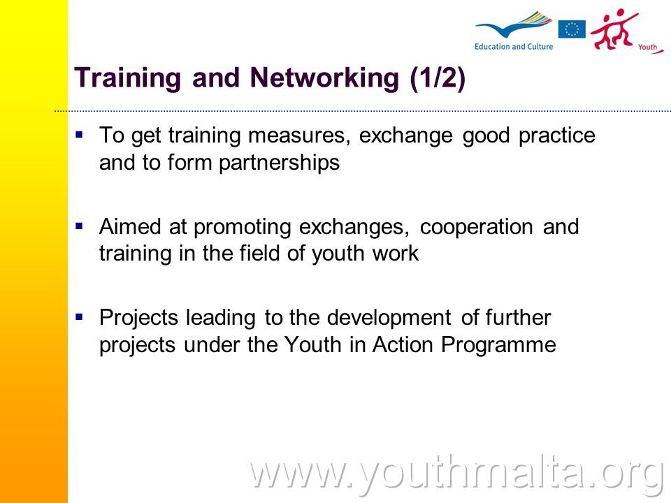Training and Networking (1/2)  To get training measures, exchange good practice and to form partnerships  Aimed at promoting exchanges, cooperation and training in the field of youth work  Projects leading to the development of further projects under the Youth in Action Programme