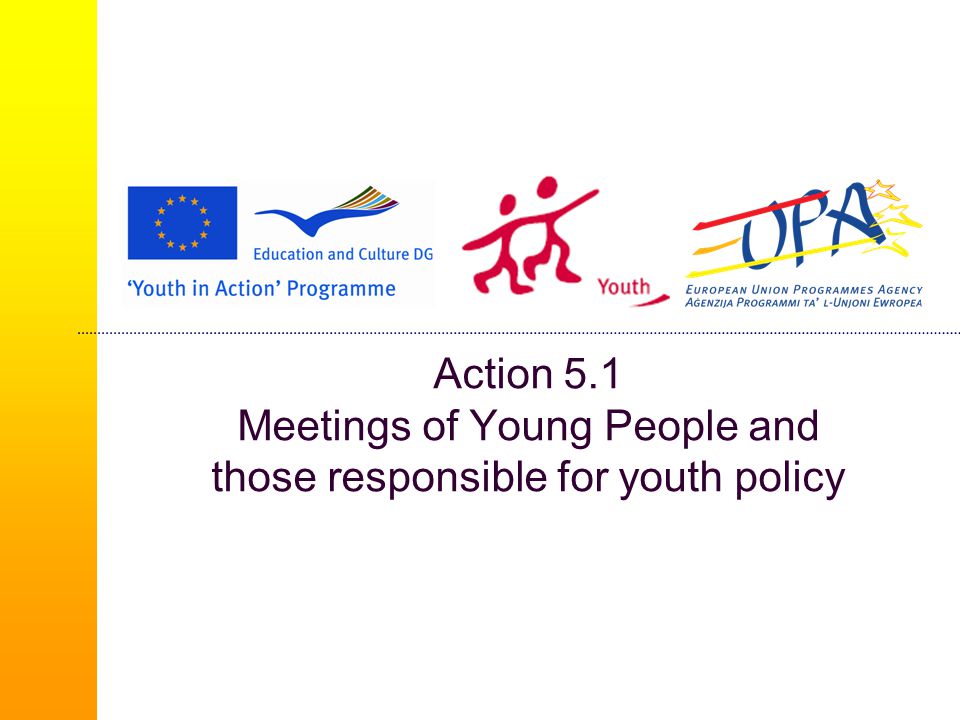 Action 5.1 Meetings of Young People and those responsible for youth policy