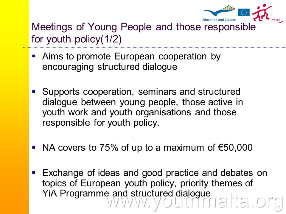 Meetings of Young People and those responsible for youth policy(1/2)  Aims to promote European cooperation by encouraging structured dialogue  Supports cooperation, seminars and structured dialogue between young people, those active in youth work and youth organisations and those responsible for youth policy.