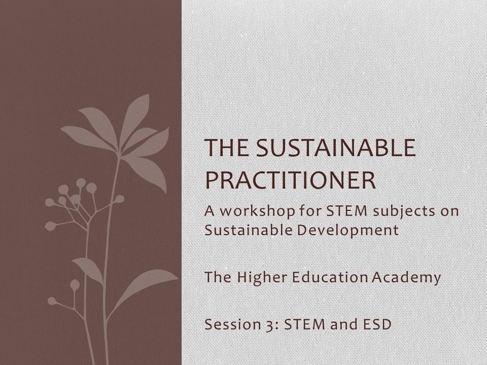 A workshop for STEM subjects on Sustainable Development The Higher Education Academy Session 3: STEM and ESD THE SUSTAINABLE PRACTITIONER