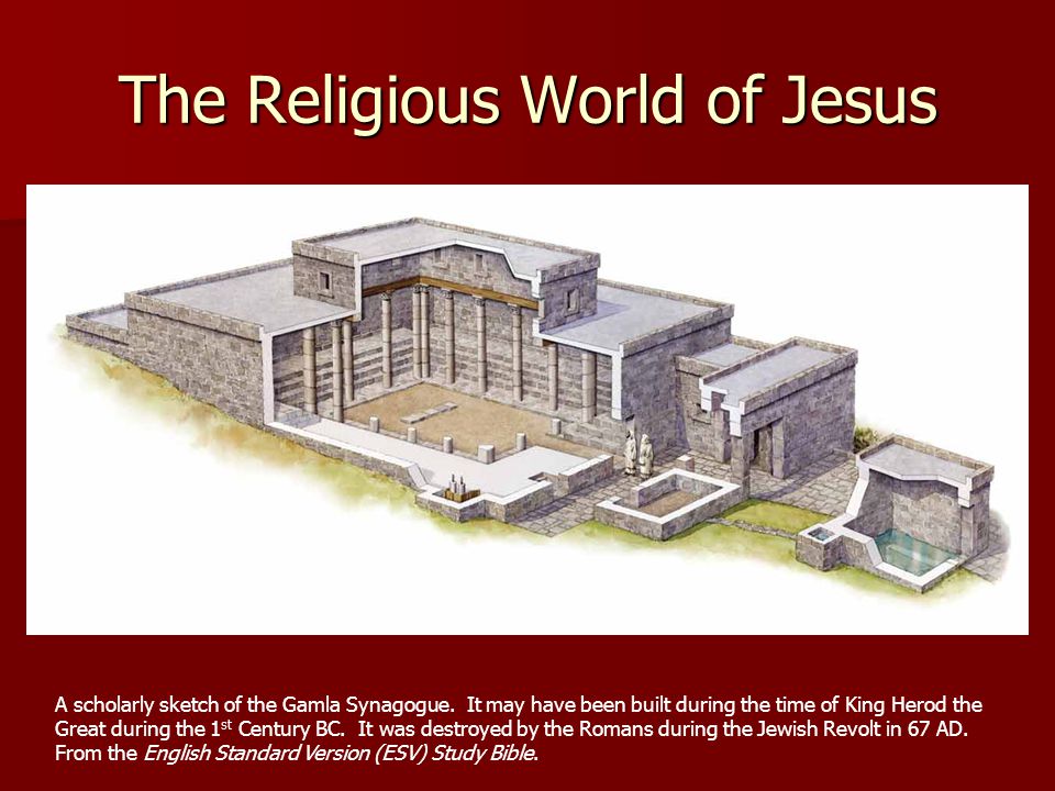 The Religious World of Jesus A scholarly sketch of the Gamla Synagogue.