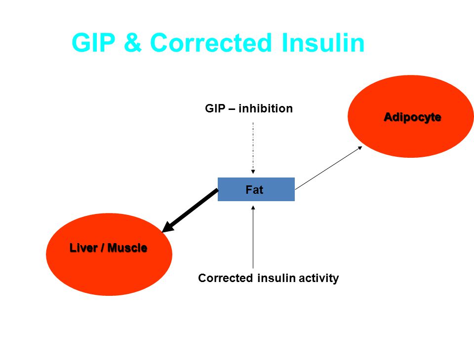 GIP & Corrected Insulin Fat Liver / Muscle Adipocyte Adipocyte Corrected insulin activity GIP – inhibition