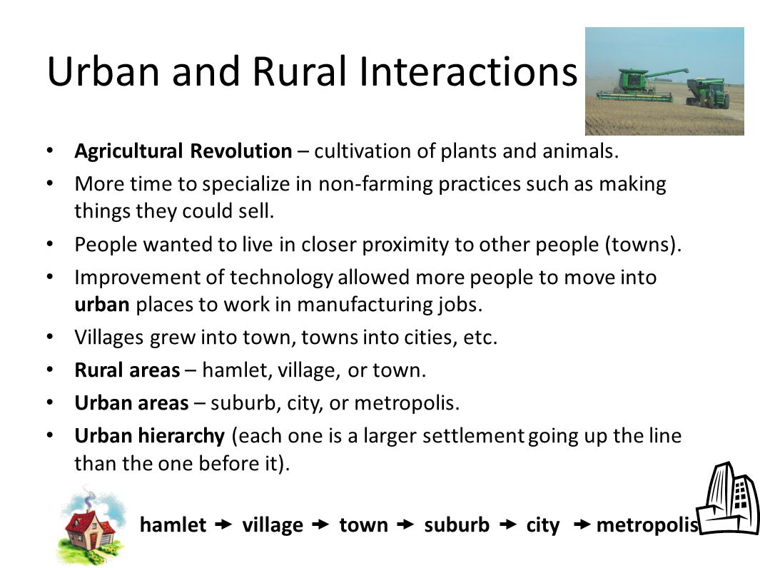 Urban and Rural Interactions Agricultural Revolution – cultivation of plants and animals.