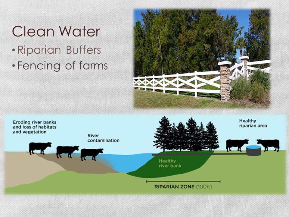 Clean Water Riparian Buffers Fencing of farms