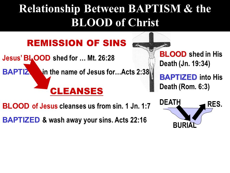 BLOOD BLOOD shed in His Death (Jn. 19:34) BAPTIZED BAPTIZED into His Death (Rom.