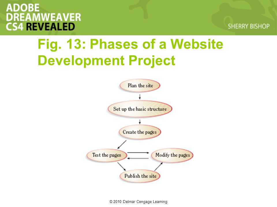 © 2010 Delmar Cengage Learning Fig. 13: Phases of a Website Development Project