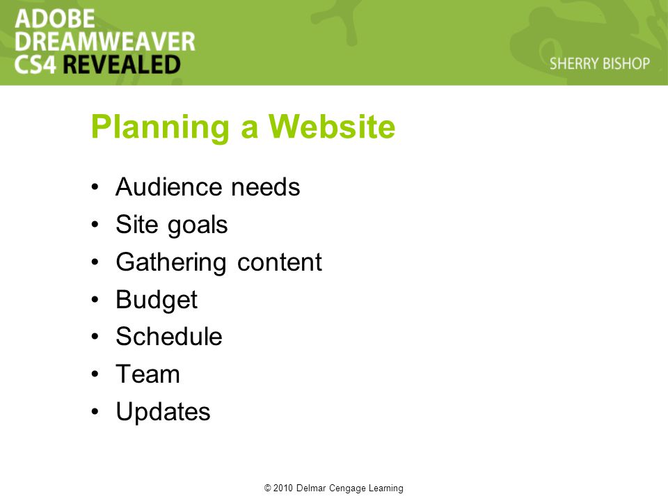 © 2010 Delmar Cengage Learning Planning a Website Audience needs Site goals Gathering content Budget Schedule Team Updates