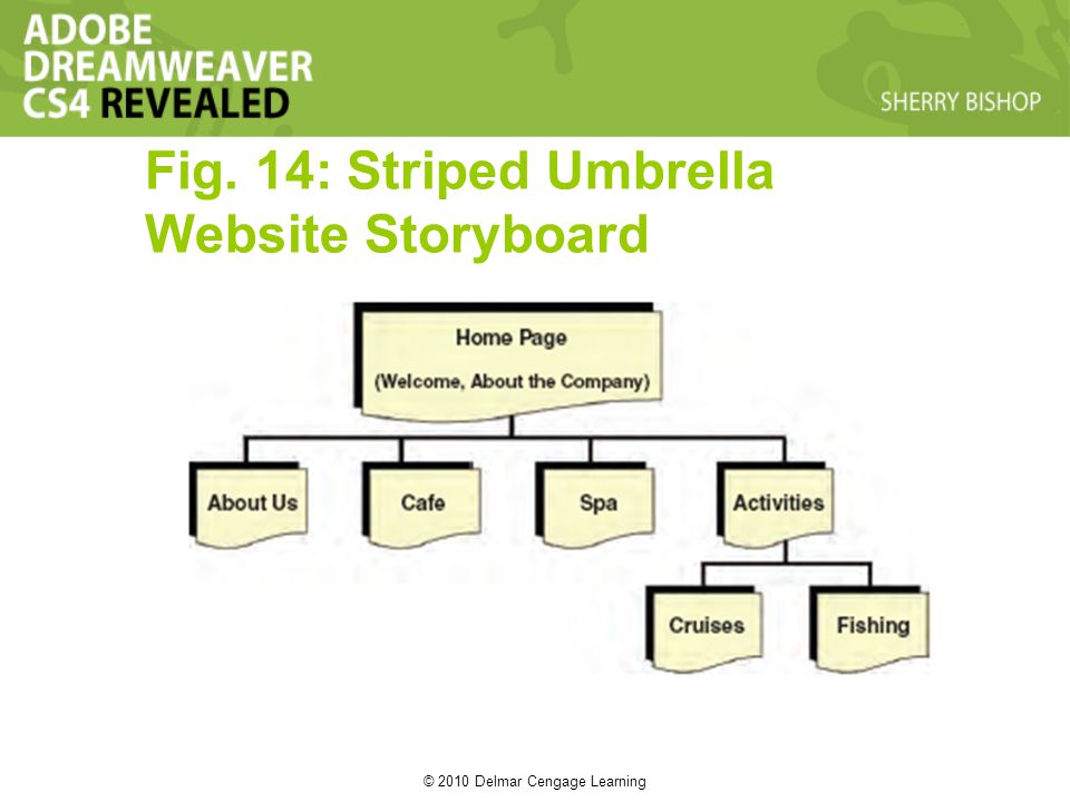 © 2010 Delmar Cengage Learning Fig. 14: Striped Umbrella Website Storyboard