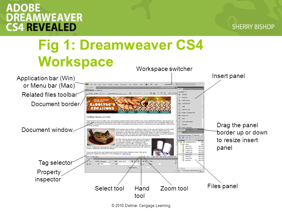 © 2010 Delmar Cengage Learning Fig 1: Dreamweaver CS4 Workspace Property inspector Tag selector Document window Document border Related files toolbar Application bar (Win) or Menu bar (Mac) Workspace switcher Insert panel Files panel Zoom toolHand tool Select tool Drag the panel border up or down to resize insert panel