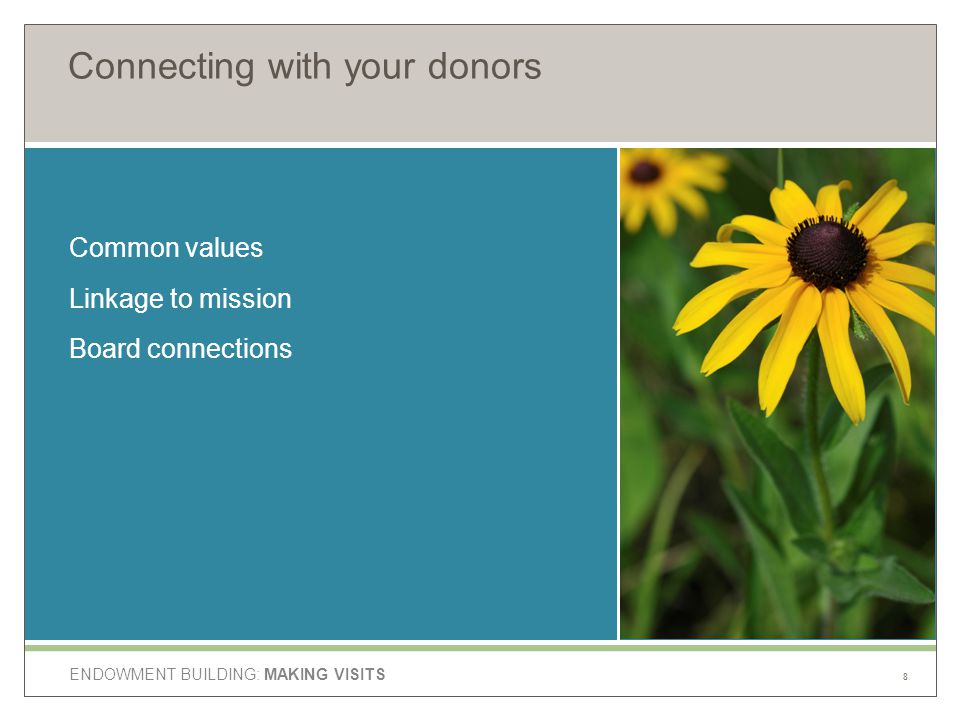 ENDOWMENT BUILDING: MAKING VISITS Connecting with your donors Common values Linkage to mission Board connections 8
