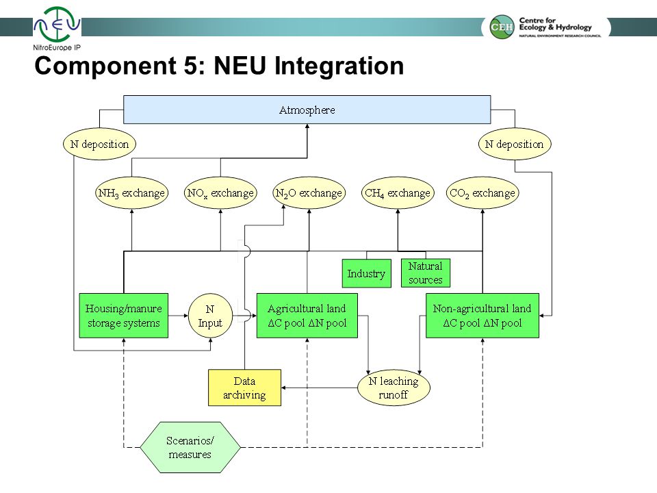 Component 5: NEU Integration