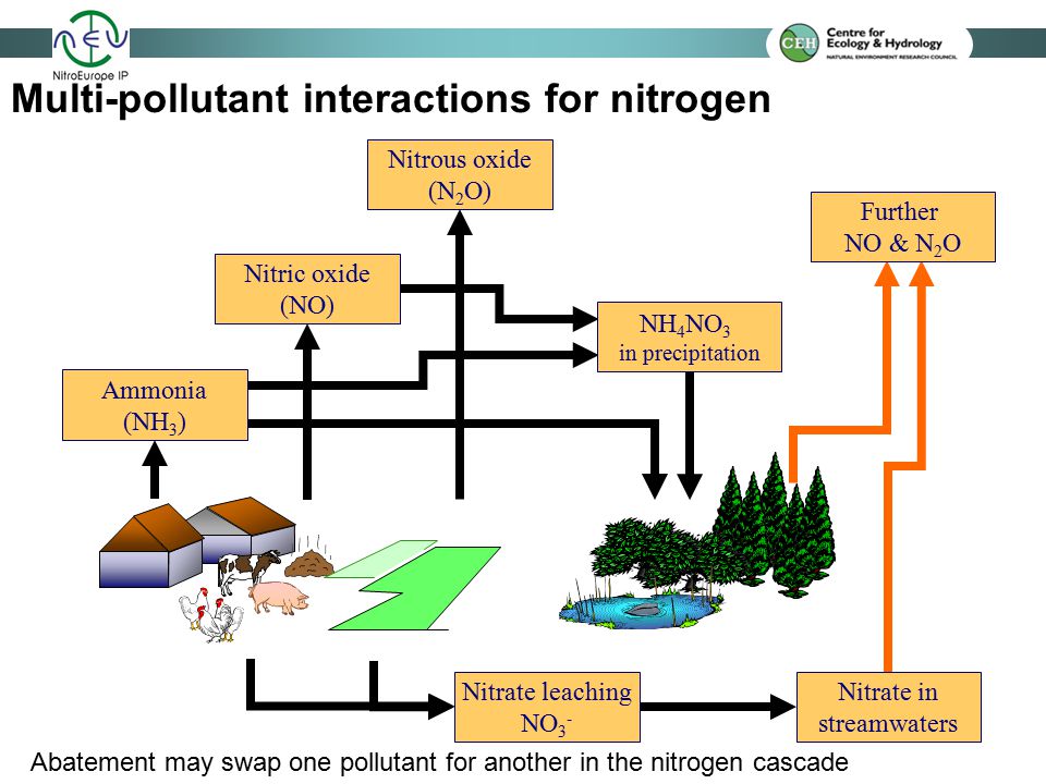 Multi-pollutant interactions for nitrogen Nitrous oxide (N 2 O) Abatement may swap one pollutant for another in the nitrogen cascade Further NO & N 2 O Nitrate in streamwaters NH 4 NO 3 in precipitation Ammonia (NH 3 ) Nitric oxide (NO) Nitrate leaching NO 3 -