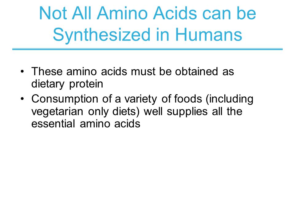 Not All Amino Acids can be Synthesized in Humans These amino acids must be obtained as dietary protein Consumption of a variety of foods (including vegetarian only diets) well supplies all the essential amino acids