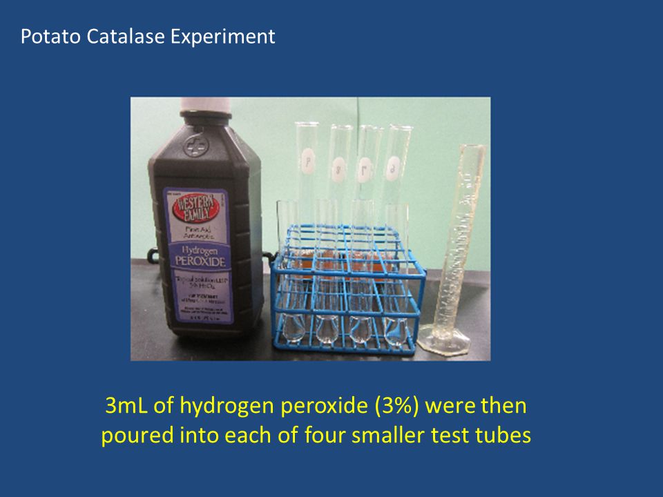 hydrogen peroxide potato experiment