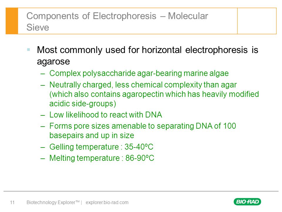 Chemistry and Physics of Electrophoresis Bio-Rad Biotechnology Explorer™  Dye/STEM Kit. - ppt download