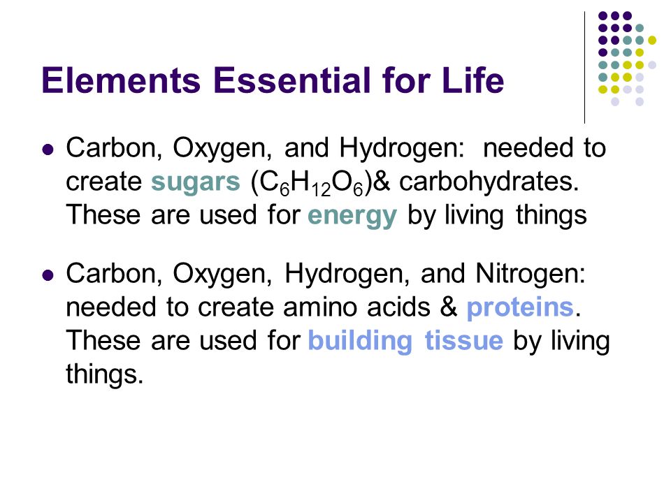 Nitrogen Is An Essential Component Of The Amino Acids That Make Up Proteins And Is A Basic Element Of Living Things Nitrogen Is An Essential Component Of The Amino Acids That Make Up Proteins And Is A Basic Element Of Living Things
