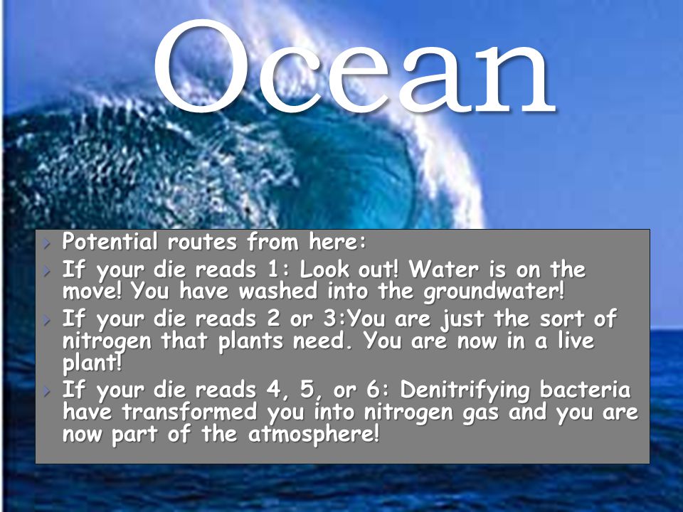 Ocean  Potential routes from here:  If your die reads 1: Look out.