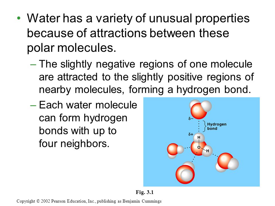 In A Water Molecule Two Hydrogen Atoms Form Single Polar Covalent Bonds With An Oxygen Atom Because Oxygen Is More Electronegative The Region Around Ppt Download In A Water Molecule Two Hydrogen Atoms Form Single Polar Covalent Bonds With An Oxygen Atom Because Oxygen Is More Electronegative The Region Around Ppt Download