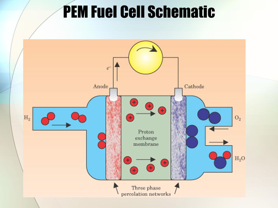 PEM Fuel Cell Schematic